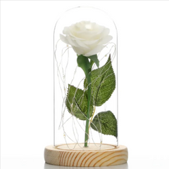 Glass Shade Rose Lamp
